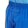 Altus Route Shorts