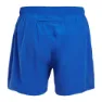 Altus Route Shorts