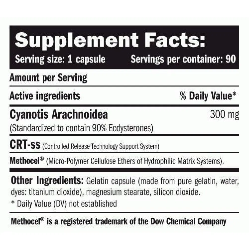Amix Beta Ecdyx Energi 90 Enheter, Uncolor, One Size
