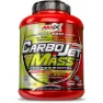 Amix Carbojet Mass Professional Kolhydratpulverdricka Vanilj 3kg, Red / lime, One Size