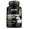 Amix Creapure® Kreatinkapslar 120 Kapslar, One size