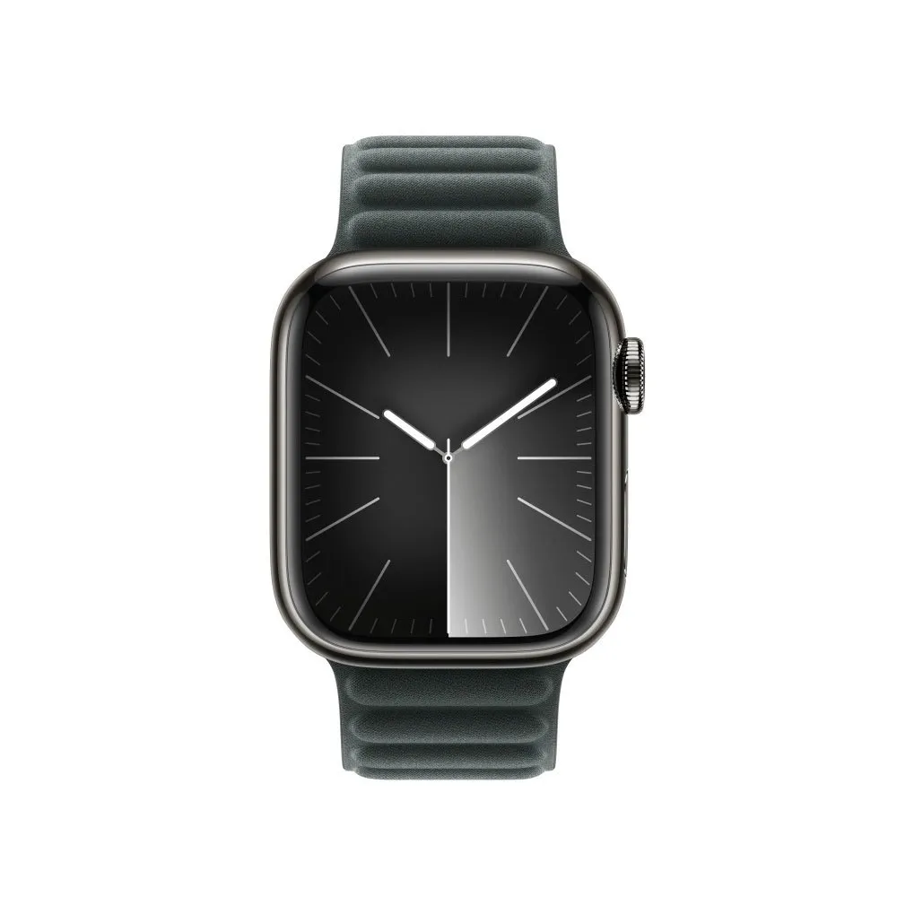 Apple Magnetic Link 41 Mm Rem