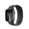 Apple Magnetic Link 41 Mm Rem