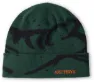 Arc'teryx Grotto Toque, Eden/Black