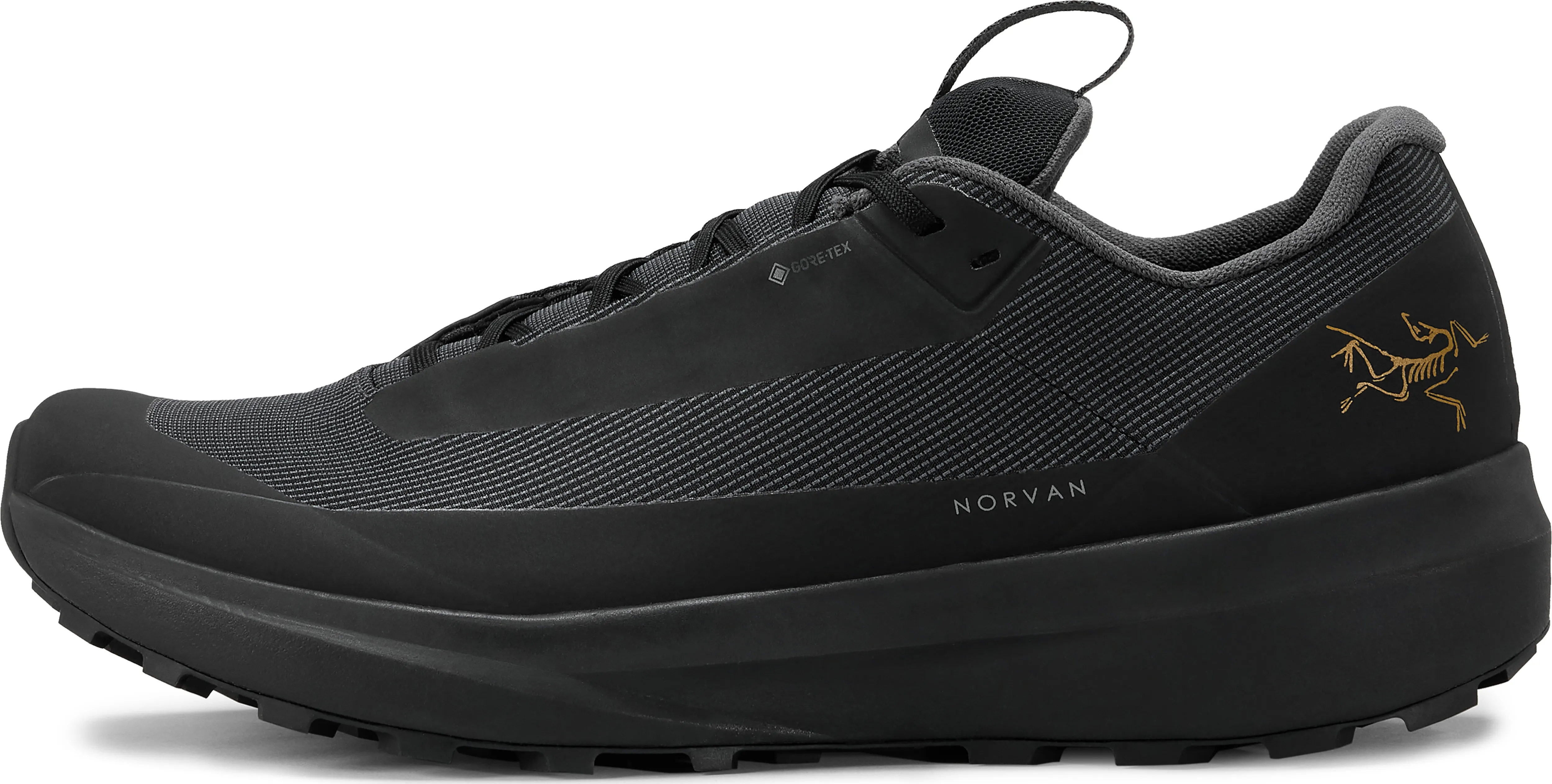 Arc'teryx Men's Norvan LD 4