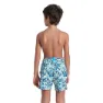 arena Allover Simshorts male
