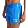 arena Big Logo Borders 36.5cm Simshorts male