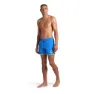 arena Big Logo Borders 36.5cm Simshorts male