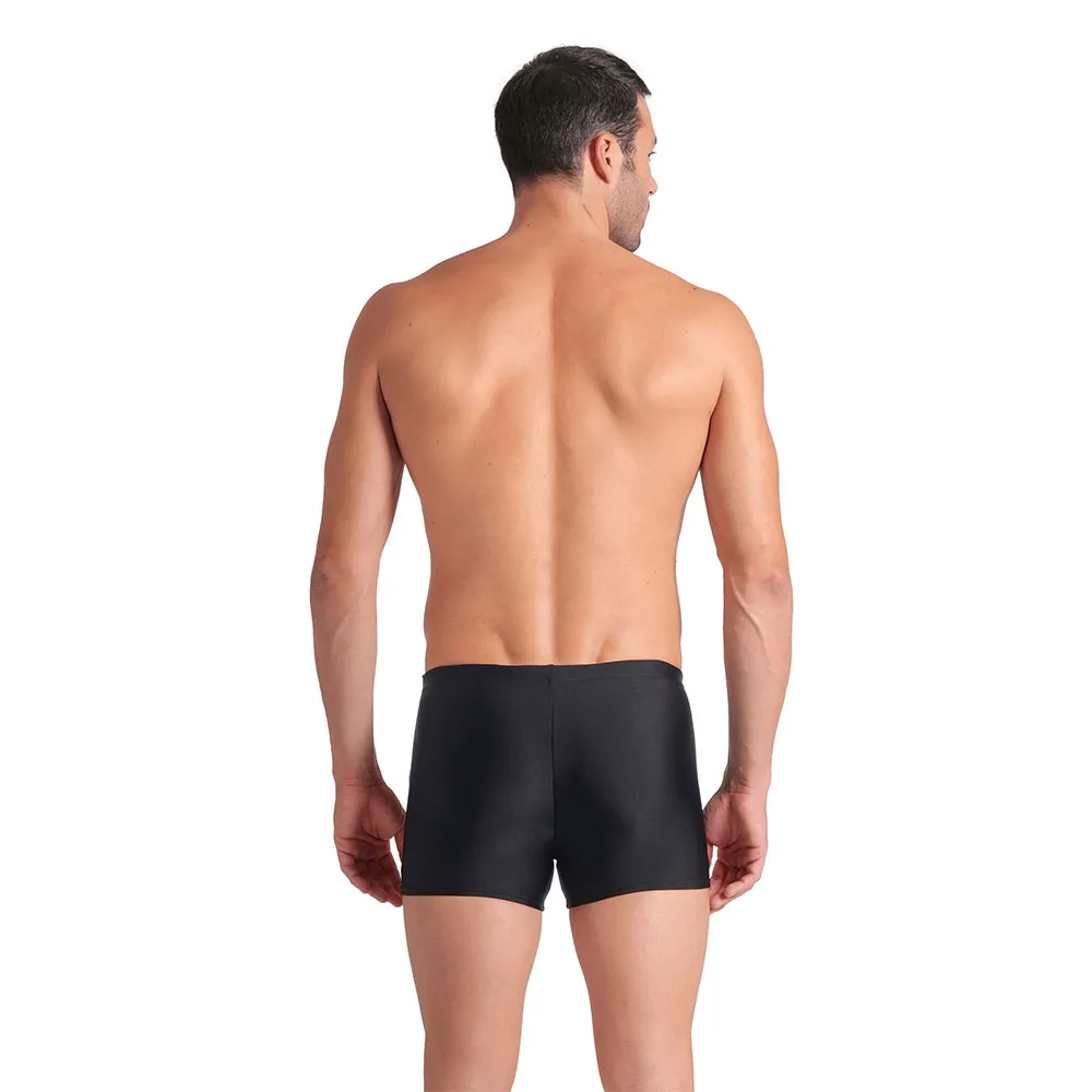 arena Bright Glare Badbyxor Boxer male arena Bright Glare Badbyxor Boxer male