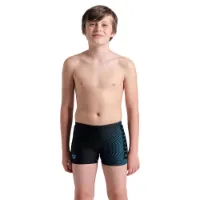 arena Dim Light Badbyxor Boxer male