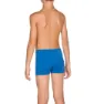 arena Equilibrium Badbyxor Boxer male, Royal / lily, 12MON-3Y