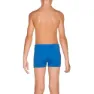 arena Equilibrium Badbyxor Boxer male, Royal / lily, 12MON-3Y