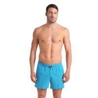 arena Evo Beach 36.5cm Simshorts male