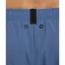 arena Evo Beach Solid Simshorts male