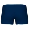 arena Foggy Dots Badbyxor Boxer male