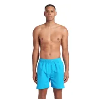 arena Fundamentals Logo R 41.5cm Simshorts male