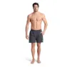 arena Fundamentals Logo R 41.5cm Simshorts male