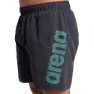 arena Fundamentals Logo R 41.5cm Simshorts male