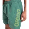 arena Fundamentals Logo R 41.5cm Simshorts male