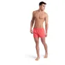 arena Fundamentals X-short R Simshorts male