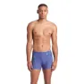arena Graphic Badbyxor Boxer male
