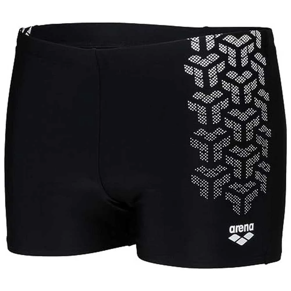 arena Kikko V Badbyxor Boxer male arena Kikko V Badbyxor Boxer male