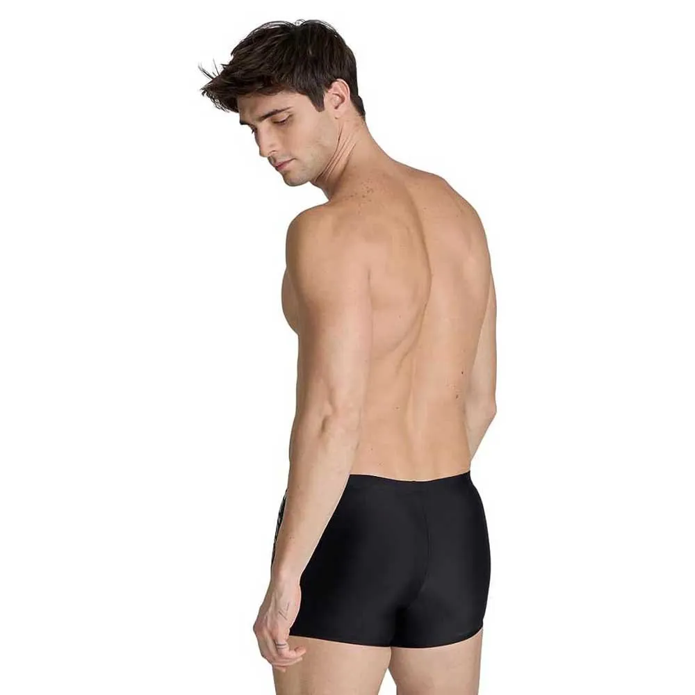 arena Kikko V Badbyxor Boxer male arena Kikko V Badbyxor Boxer male