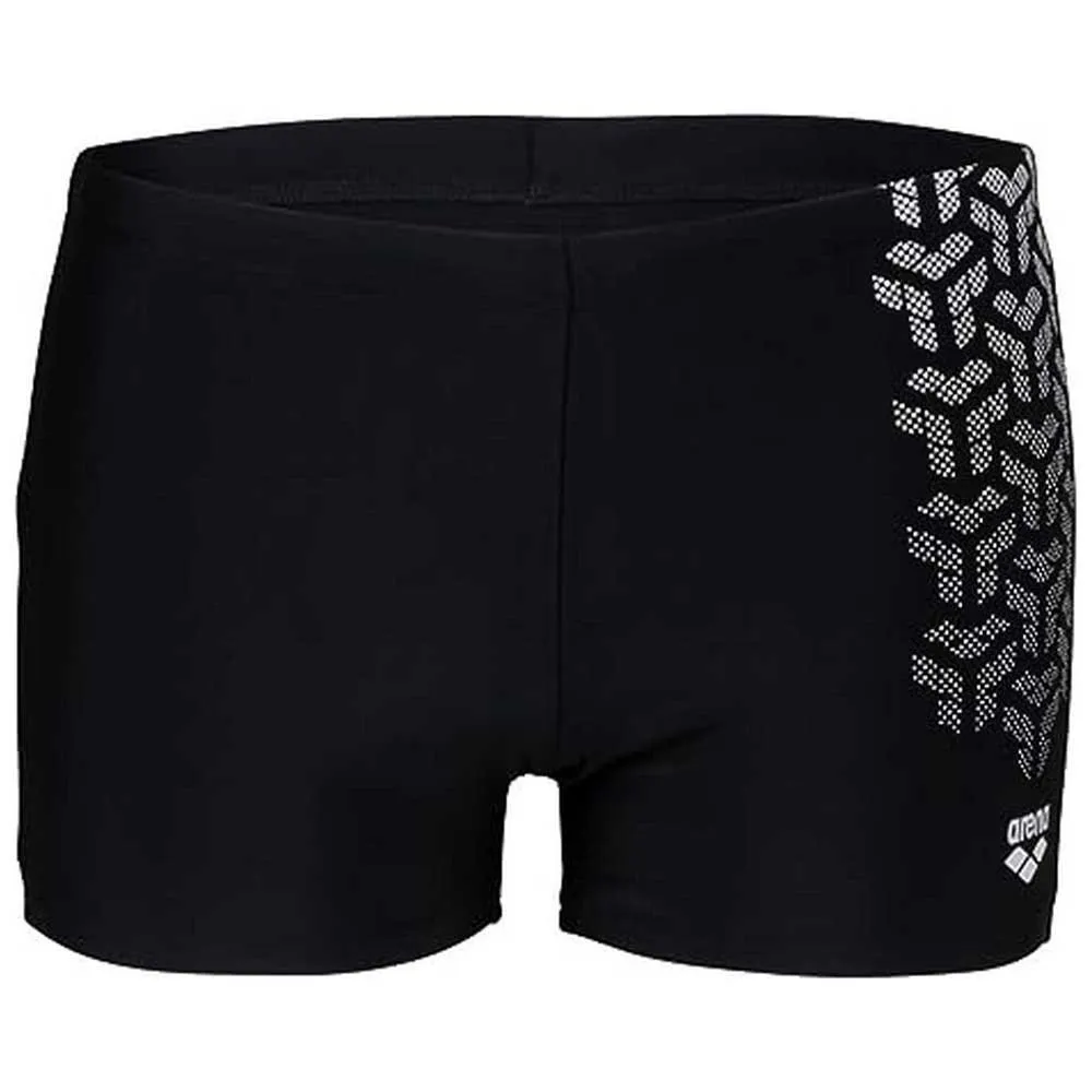 arena Kikko V Badbyxor Boxer male arena Kikko V Badbyxor Boxer male