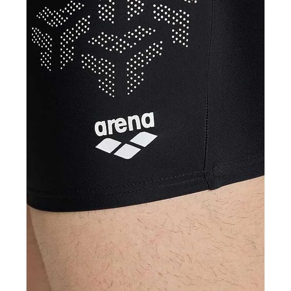 arena Kikko V Badbyxor Boxer male arena Kikko V Badbyxor Boxer male