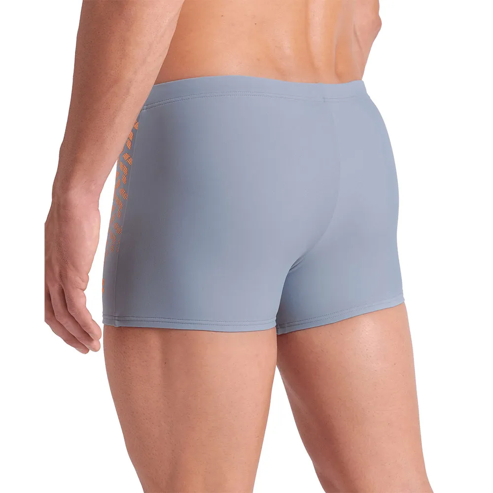 arena Kikko V Badbyxor Boxer male