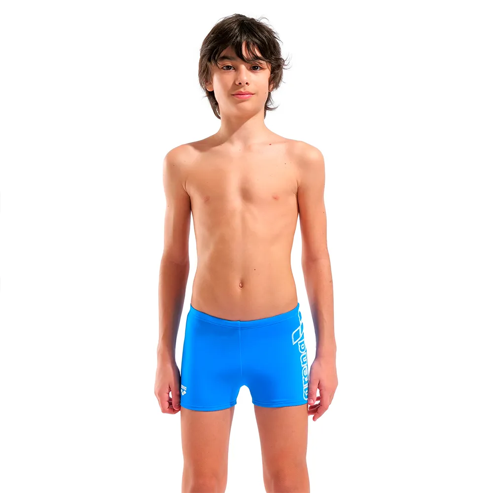 arena Logo Simshorts male arena Logo Simshorts male
