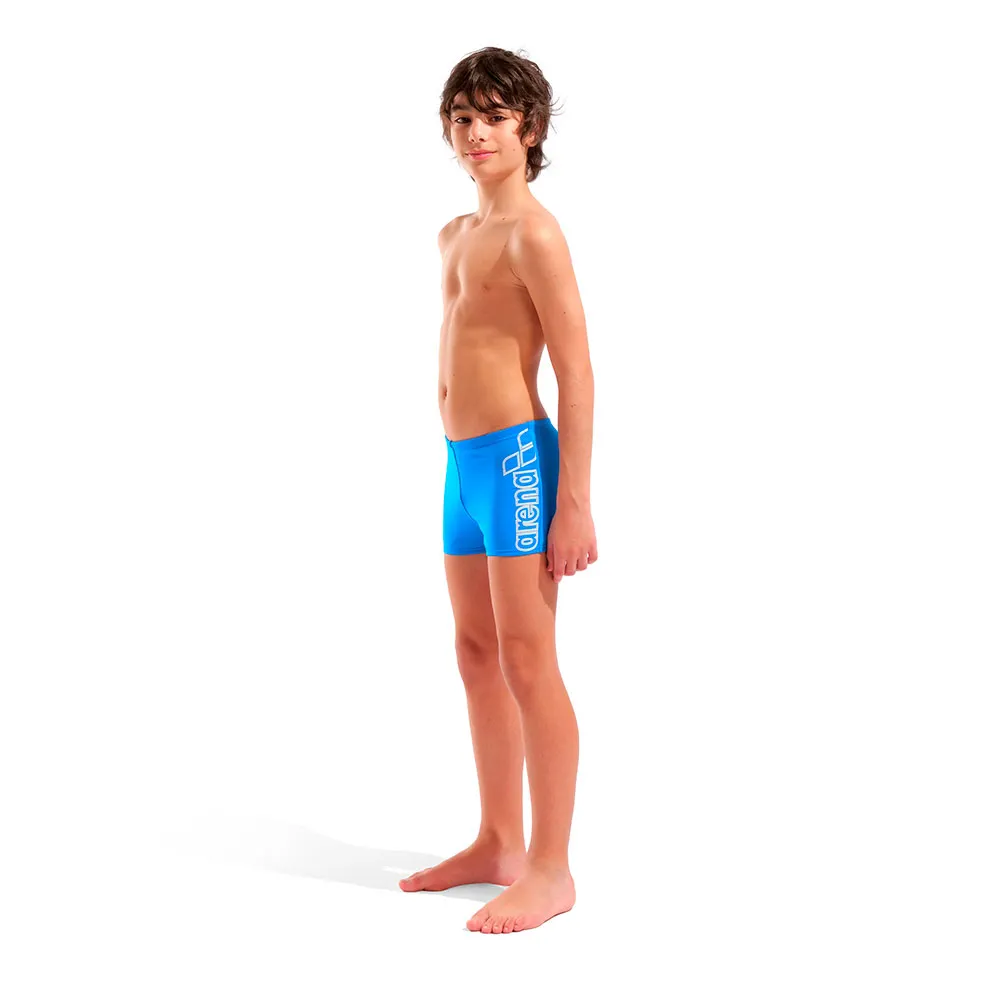 arena Logo Simshorts male arena Logo Simshorts male