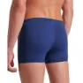 arena Trail Badbyxor Boxer male