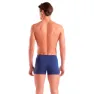 arena Two Sides Simshorts male