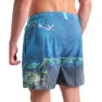 arena Water Prints Beach 41.5cm Simshorts male