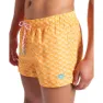 arena Water Prints Beach Allover 32cm Simshorts male