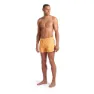 arena Water Prints Beach Allover 32cm Simshorts male