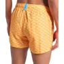 arena Water Prints Beach Allover 32cm Simshorts male