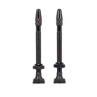 Arise Tubeless Ventiler 60 Mm Arise Tubeless Ventiler 60 Mm