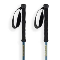 Arva Fuji 3 Parts Powerlock + Long Grip Stavar