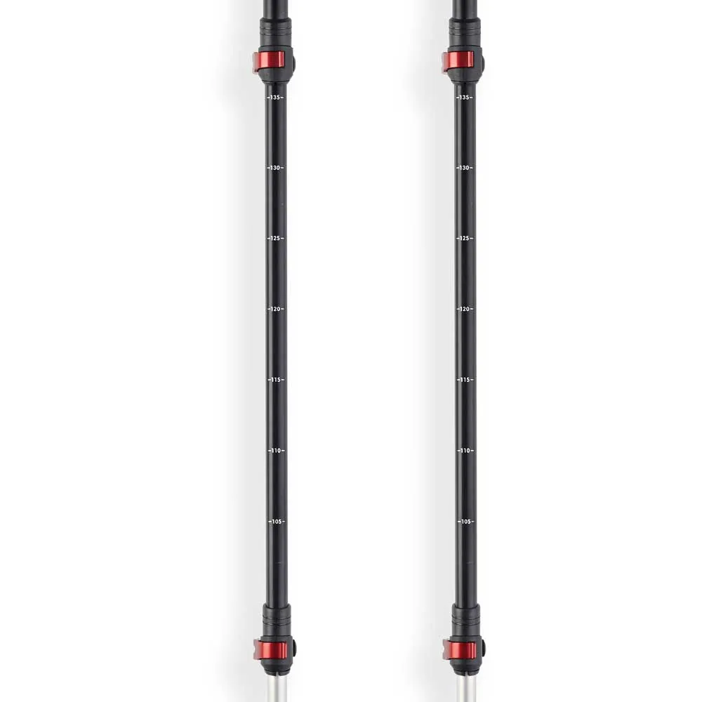 Arva Fuji 3 Parts Powerlock + Long Grip Stavar