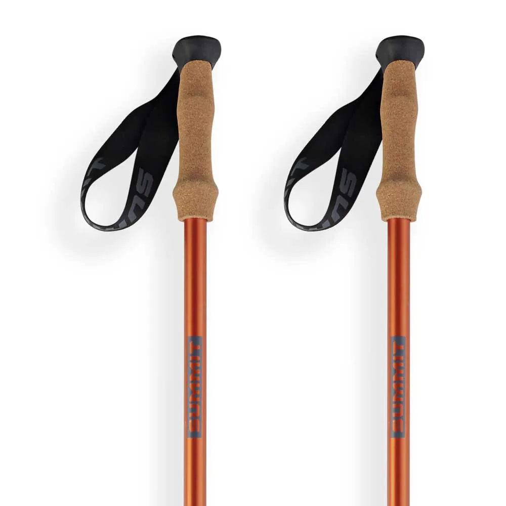 Arva Nepal 3 Parts Powerlock Cork Grip Stavar