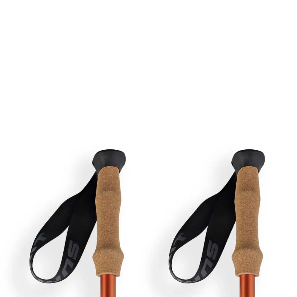 Arva Nepal 3 Parts Powerlock Cork Grip Stavar