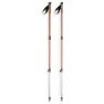 Arva Nepal 3 Parts Powerlock Cork Grip Stavar