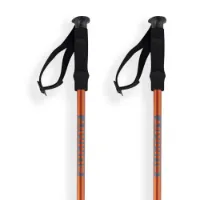 Arva Tibet 3 Parts Classic Cone Twistlock Stavar