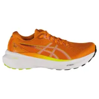 Asics Gel-kayano 30 Löparskor male Asics Gel-kayano 30 Löparskor male