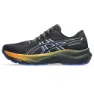 Asics Gt-2000 14 Gtx Löparskor male