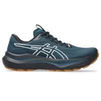 Asics Gt-2000 14 Tr Löparskor male