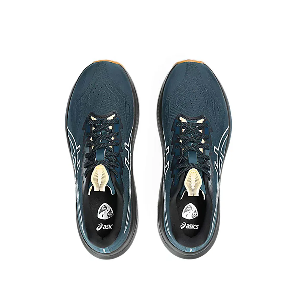 Asics Gt-2000 14 Tr Löparskor male