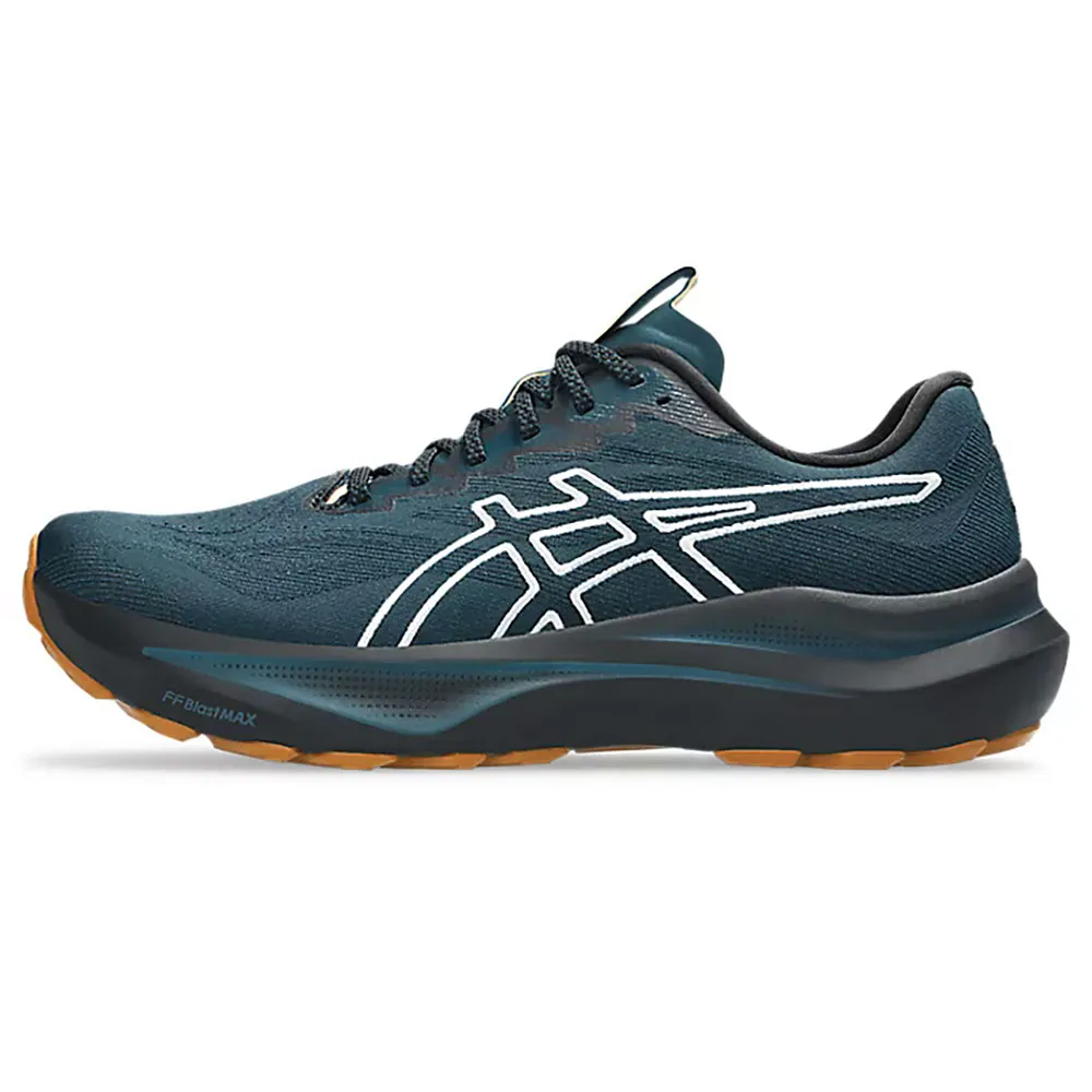 Asics Gt-2000 14 Tr Löparskor male